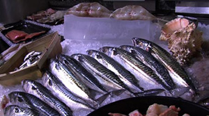 Harrods Fish Counter 2008